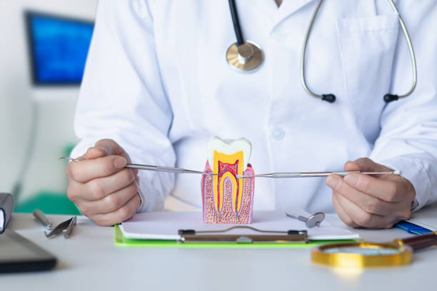 Best Urgent Tooth Repair  in Newport, RI